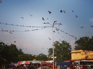 为什么我非得去印度？来啊！放肆吧！去大闹天竺啊！