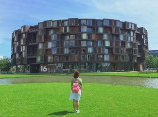 北欧斯堪的纳维亚地区,斯堪的纳维亚半岛极夜风光