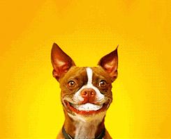 谁做的这本长春*证办**指南！太牛了！咋办在哪儿办全明白了！