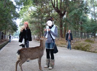 去东京住airbnb,相识十年从一个人到一家四口