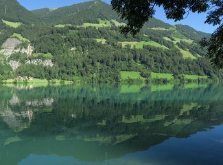 如诗如画如歌如梦完整版,如诗如画的瑞士