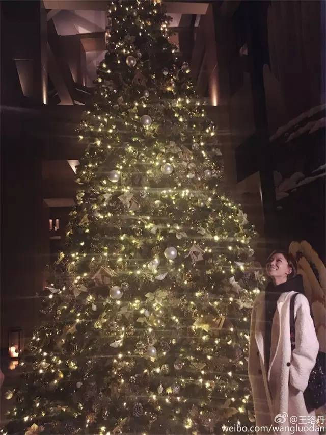 林允陈乔恩丫丫,林允袁姗姗