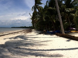 菲律宾长滩岛旅游五天4晚,菲律宾7日游旅游攻略地图