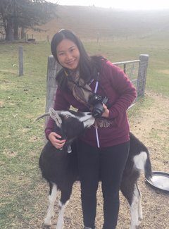 新西兰南岛11天自驾游攻略,新西兰北岛自驾游15天攻略