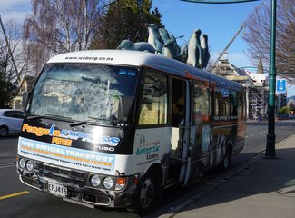 O,∩_∩O~溜达二姐16天独闯新西兰全程巴士