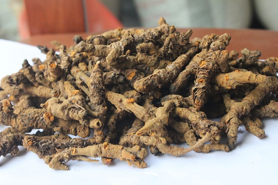 常见病最新疗法,常见病简易中医疗法