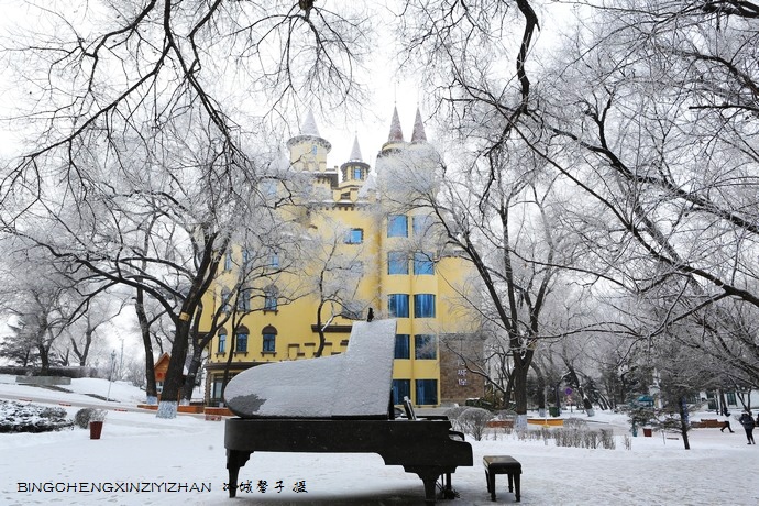 哈尔滨太阳岛的冬天照片,哈尔滨太阳岛的冬天有多美