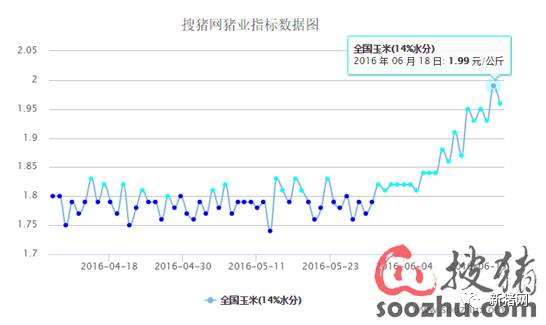 挥别16金猪年迎接17银猪年