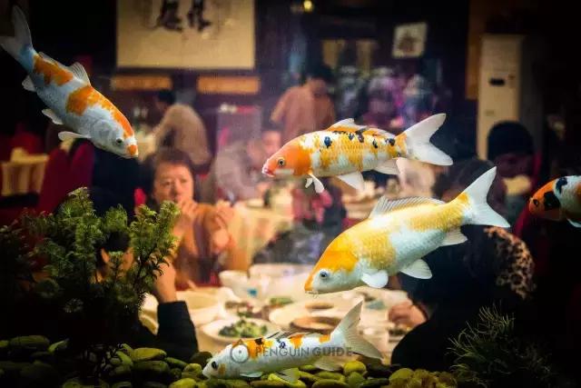 北京当地人为啥不吃全聚德烤鸭,全聚德烤鸭正不正宗