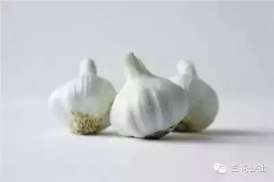 对女性好的五类食物,这四种食物女人一定要吃