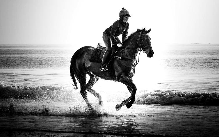 变戏法小*子骗**的噩梦高帧率时代来临