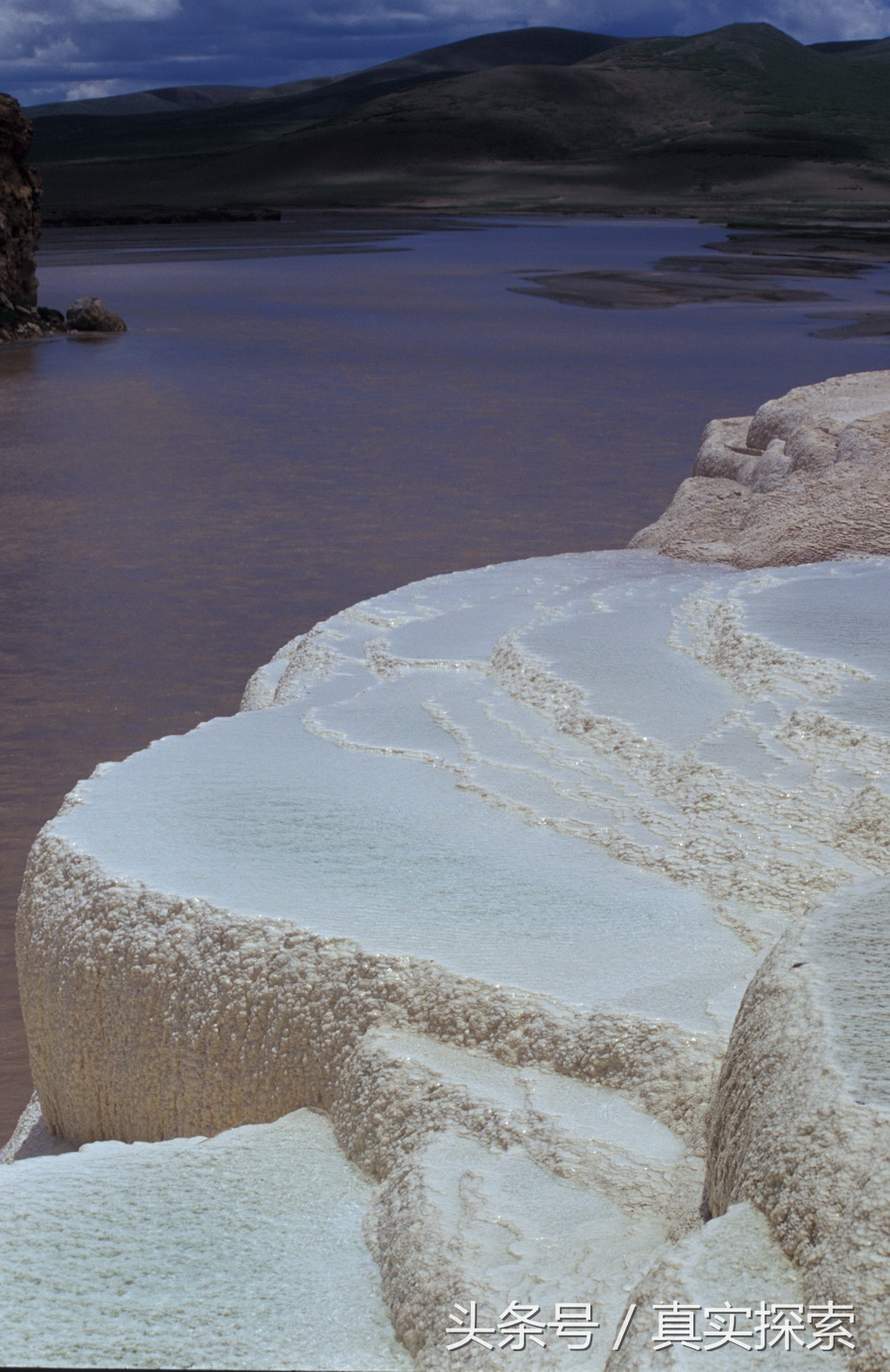 荒野求生秘籍完整版,荒野自救教程
