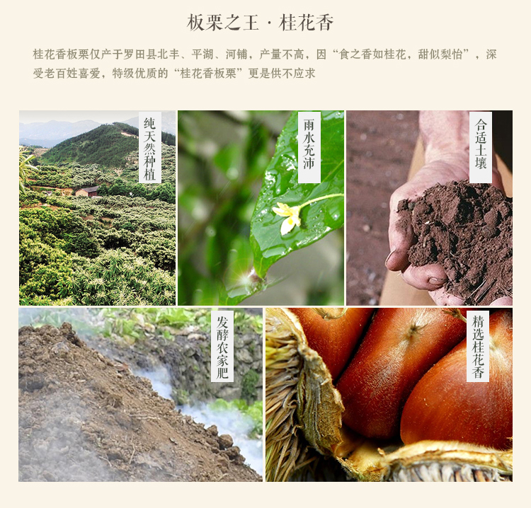 缃楃敯鏉挎牀椋庢櫙瑙嗛,缃楃敯鏉挎牀鍗抽鏉挎牀