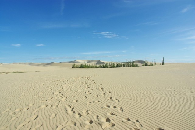 越南胡志明芽庄美奈,越南美奈的真实生活