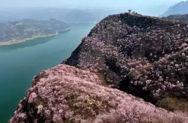 2021年洛阳旅游攻略指南,洛阳旅游攻略2015