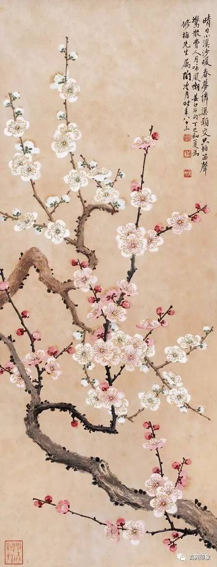 青江梅花香雪海,香雪海梅花国画
