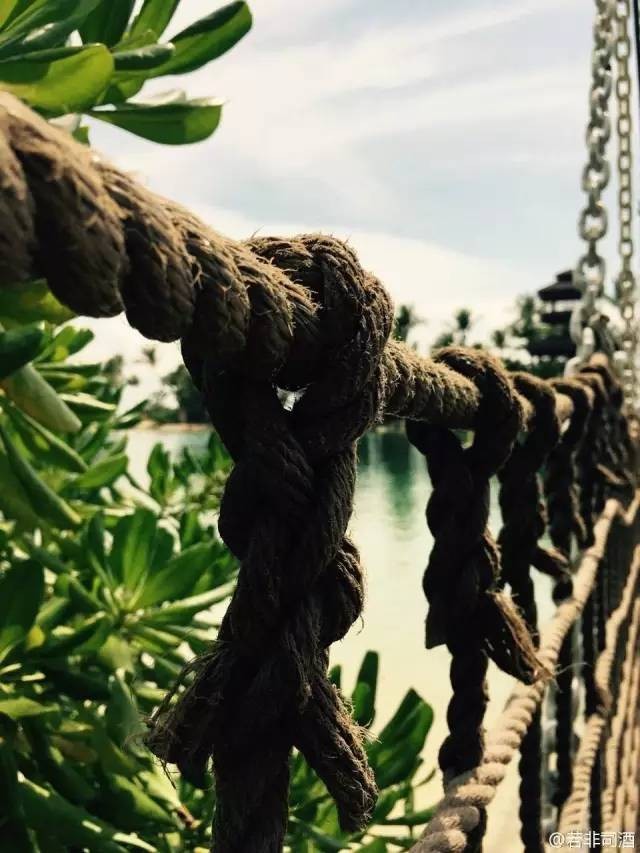 新加坡圣淘沙详细攻略,新加坡圣淘沙真实感受