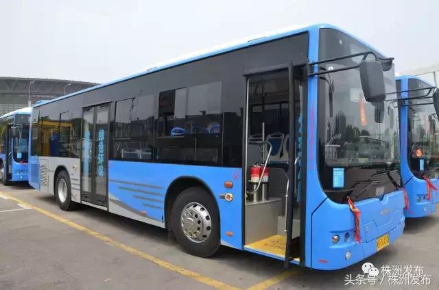 2019株洲改造工程,株洲路改造最新消息