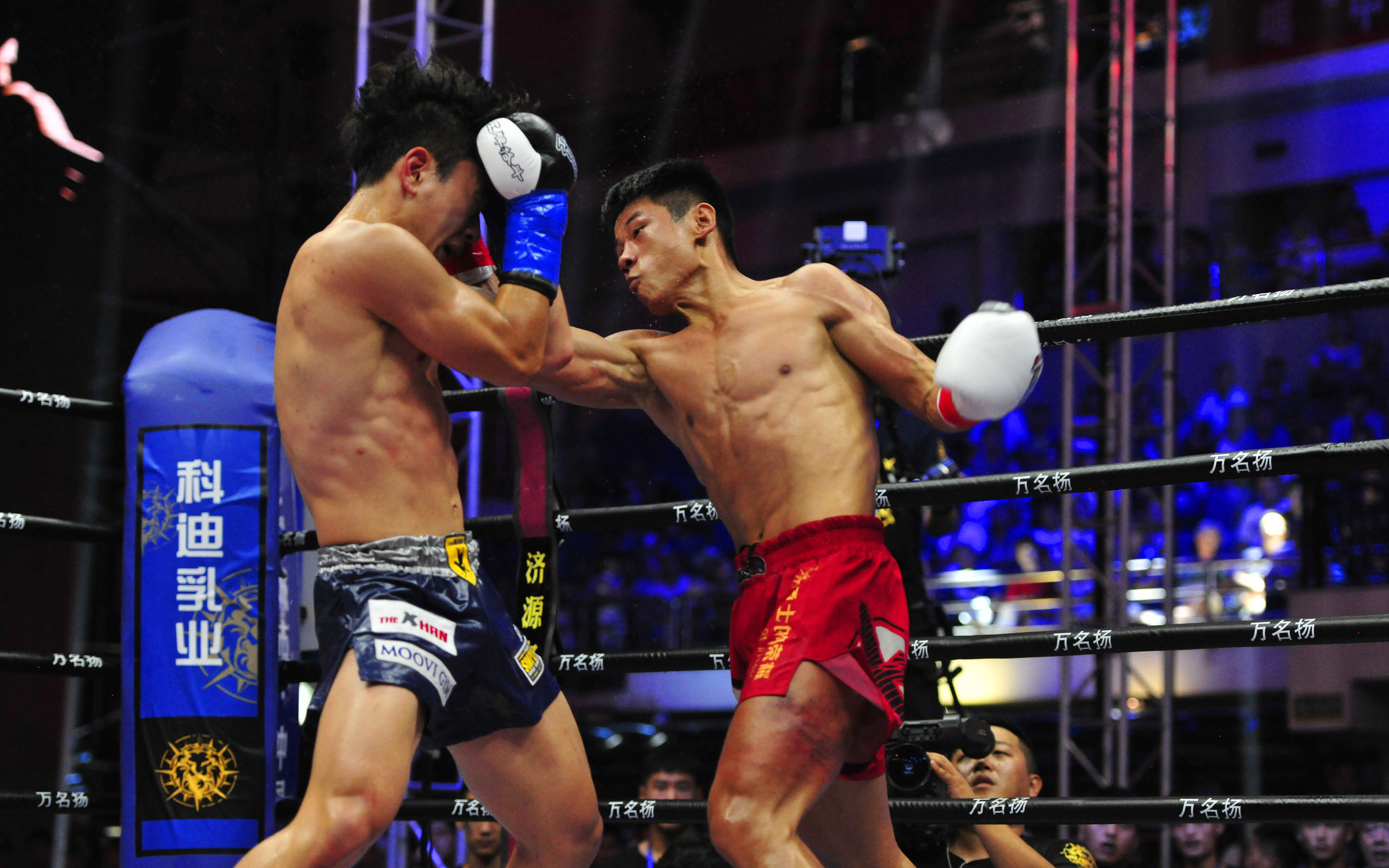 五虎上将的战绩,五虎上将最辉煌的时候