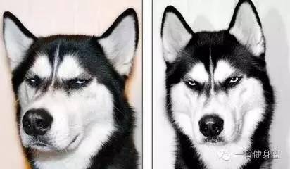 眼神杀只有时间才能证明一切,眼神杀也有温柔的一面