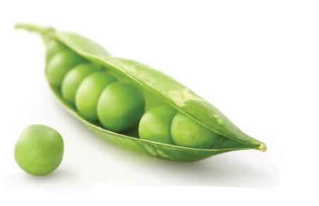 中国的荷兰豆在荷兰被称为什么,荷兰豆不是荷兰产的吗