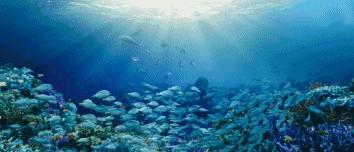 不打情怀牌，我们来谈谈这部《美人鱼》！