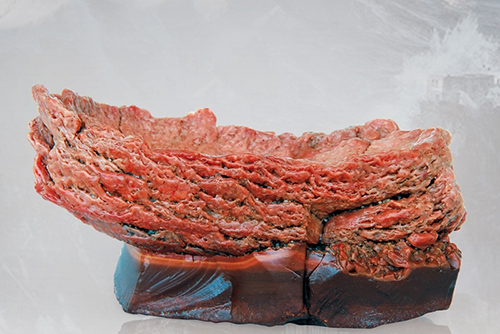 红碧玉与鸡血红的区别,什么颜色的和田碧玉最贵