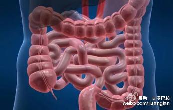 阑尾在哪个位置男左女右,阑尾的位置叫什么