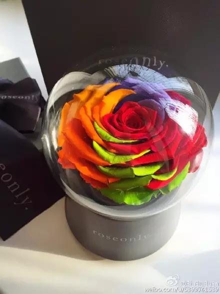 她们的情人节，虐狗指数绝对不逊于昆凌