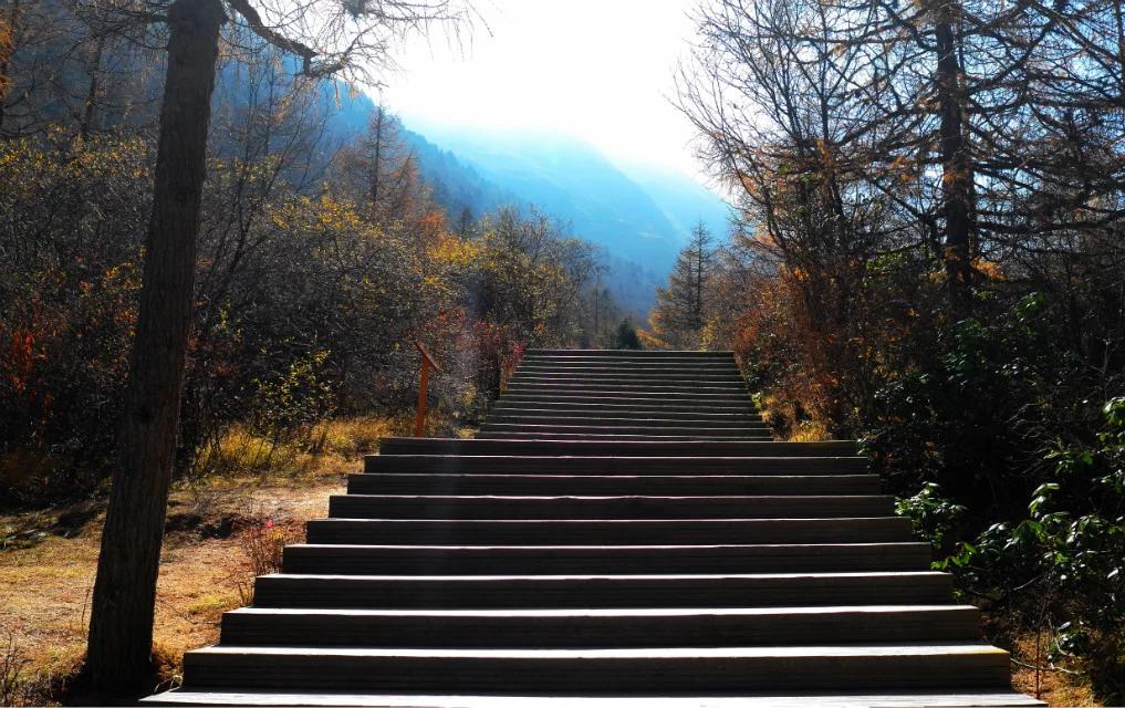 行走在风景里,记录旅游黄龙留下美好回忆