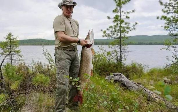 国际钓法用什么竿,为什么传统钓比台钓厉害