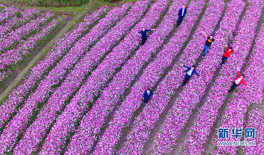 2017年1月份福建天气,福建1月份天气记录
