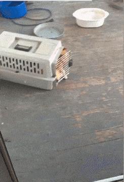 和往常一样，我的父亲喝了点酒，一场家庭*力暴**即将发生