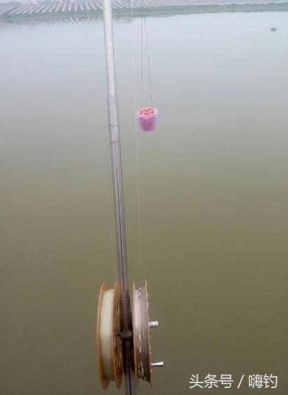 野鲫鱼怎么钓爆护,野钓爆护的几个技巧