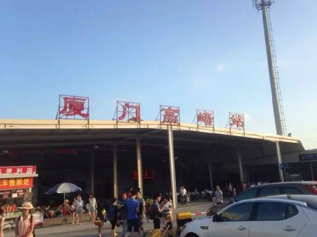 厦门冷知识你知道多少,冷知识糖怎么来的