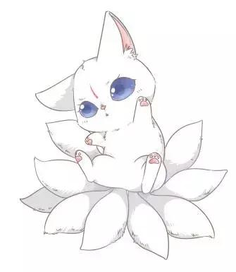 扒一扒网狐与它祖先的那些事儿——当个网红不容易