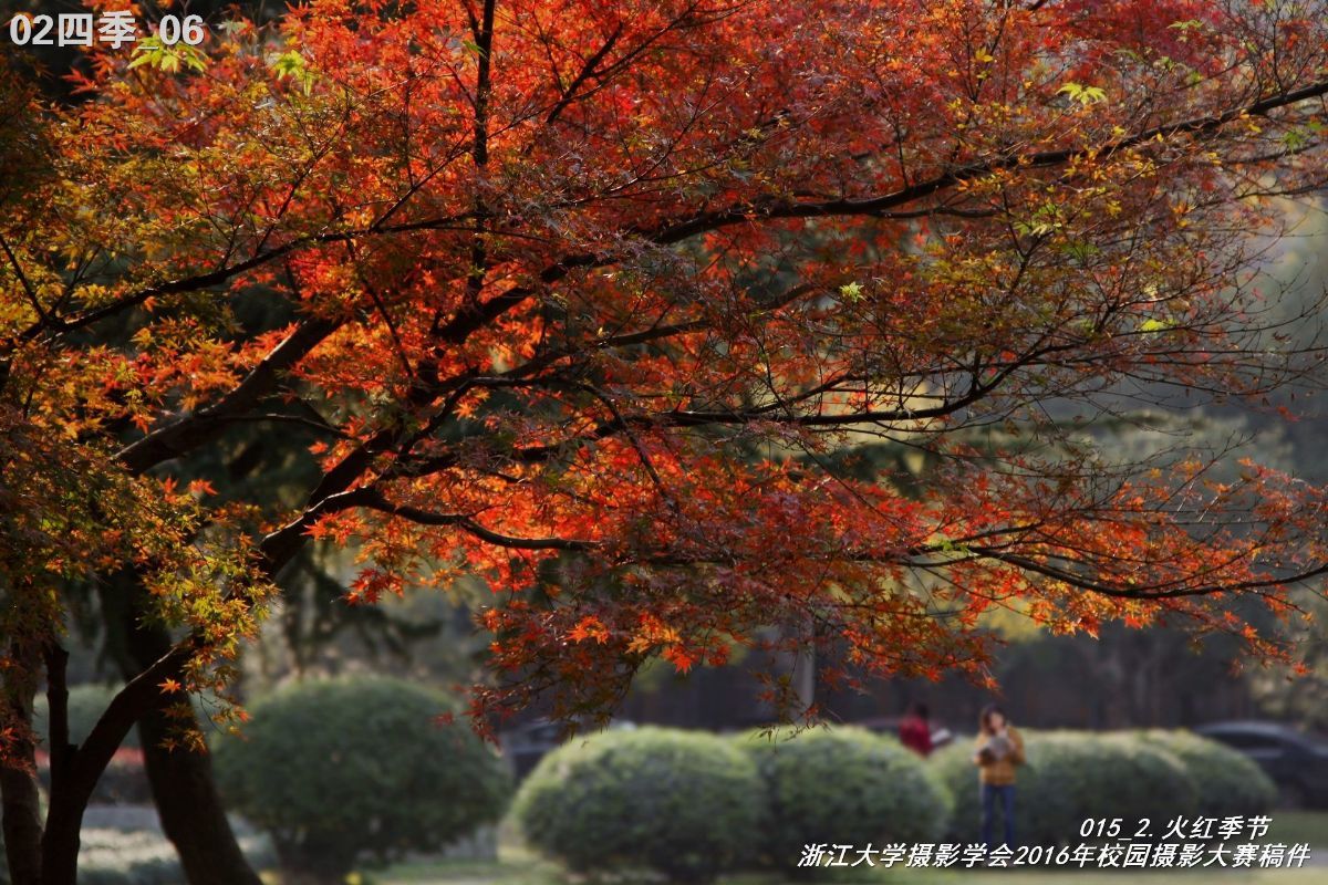 浙江大学是中国最水的大学,一分钟带你了解浙江大学
