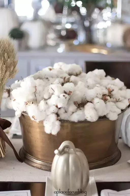 韩剧里撩妹，流行送棉花？嗨，一切都是套路！