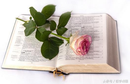 人的疏远从什么时候开始,人的怨恨心理产生条件