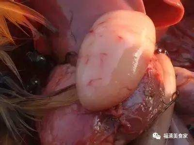 你都吃过的奇葩美食,你都吃过几种菜