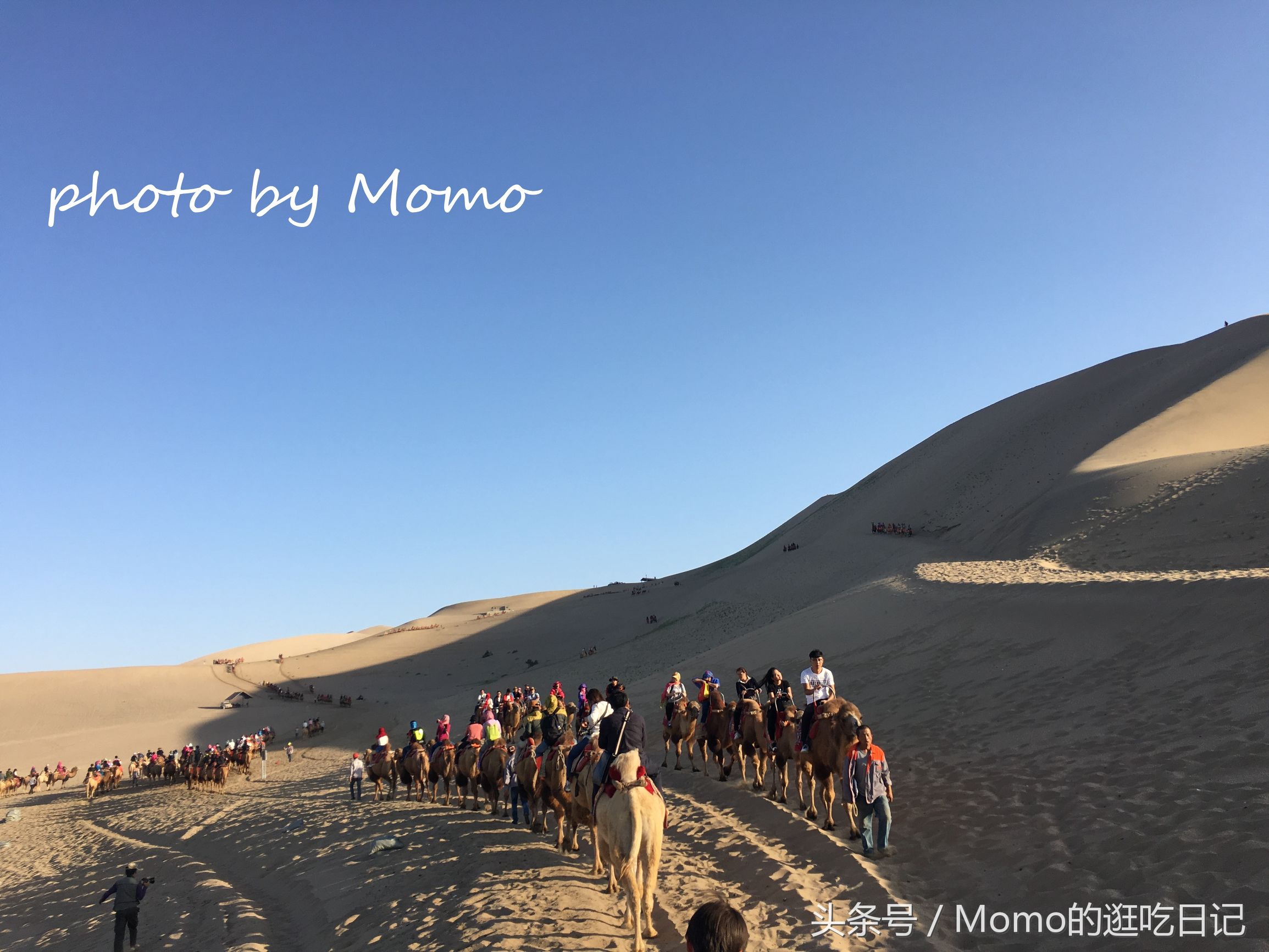 骑骆驼是怎样的一种感受？