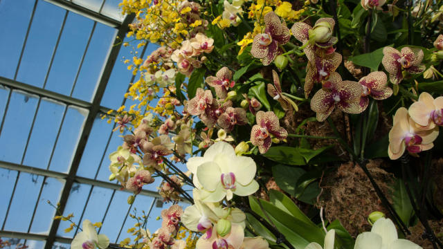 英国伦敦旅游购物攻略,伦敦旅游攻略相关推荐