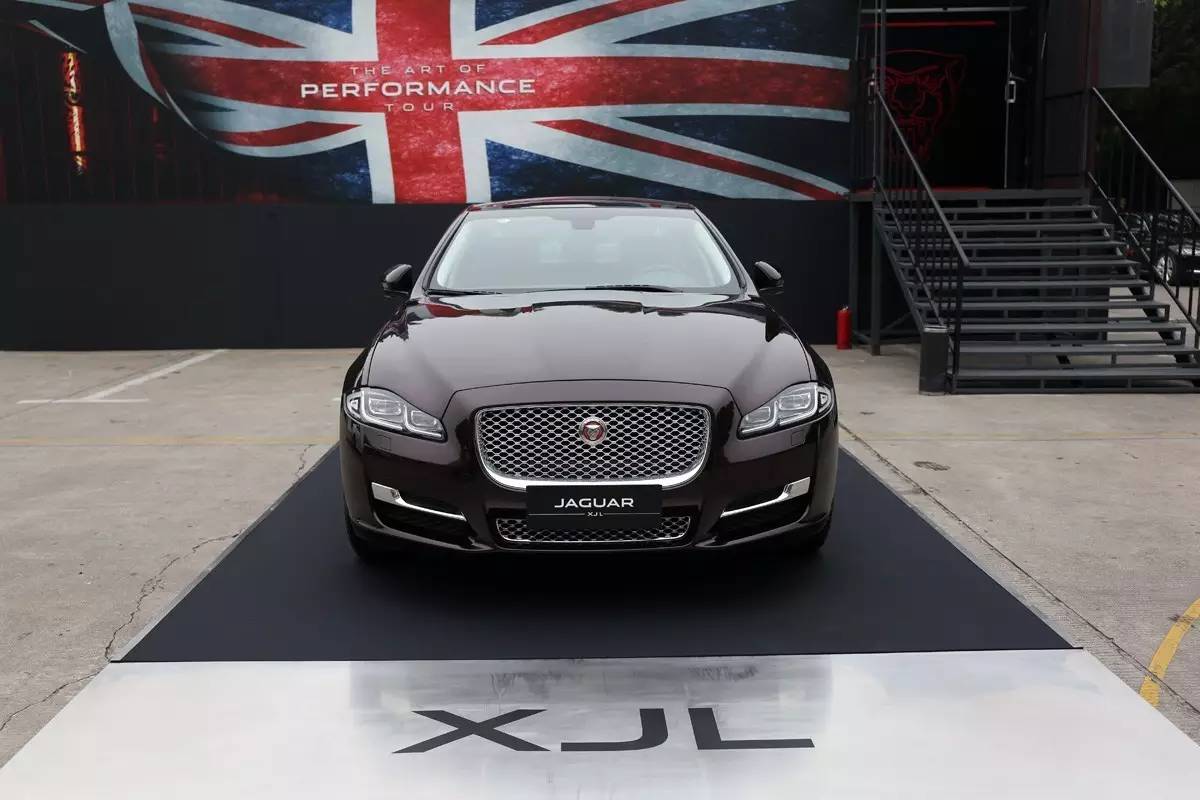 家宠美洲虎,人工饲养的美洲虎