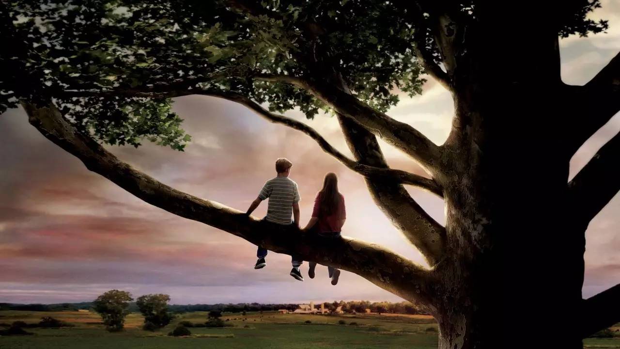 张艺谋经典电影山楂树之恋 (张艺谋的电影《山楂树之恋》)