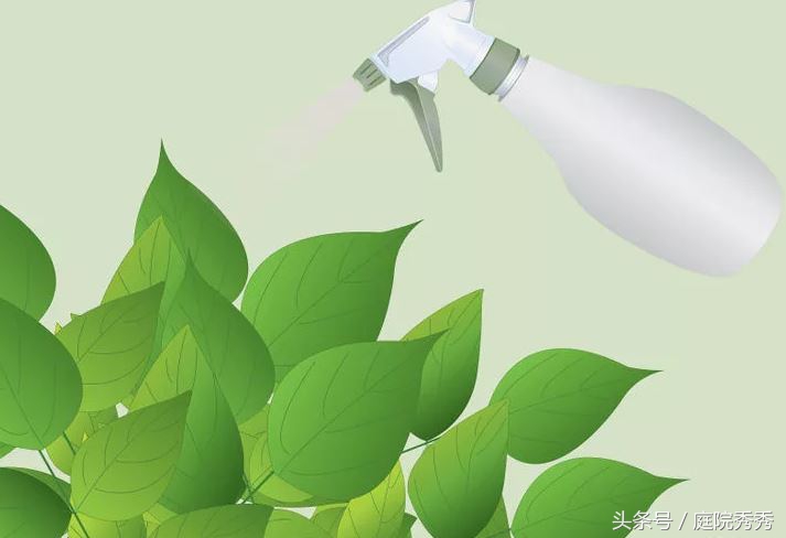 家庭园艺常用杀虫剂,固体杀虫剂使用方法养花