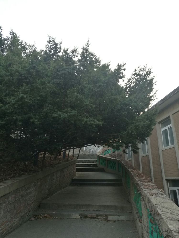 追寻历史遗迹感受文化魅力,八七疗养院历史遗迹