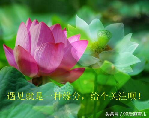 哪种进口化妆品适用孕妇,孕妇适应的韩国化妆品