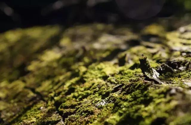 中国建阳建盏图片,建盏黑瓷之都