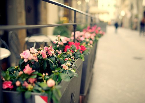治愈心情烦躁的心灵鸡汤,治愈人心的鸡汤句子句句正能量