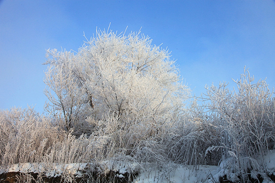 吉林雾凇岛的好看的雾凇倒影图片,吉林雾凇岛和雪谷雾凇岭
